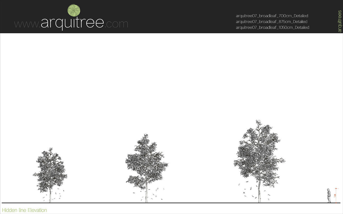 Revit scalable and detailed tree arquitree07 detailed 3D model_10