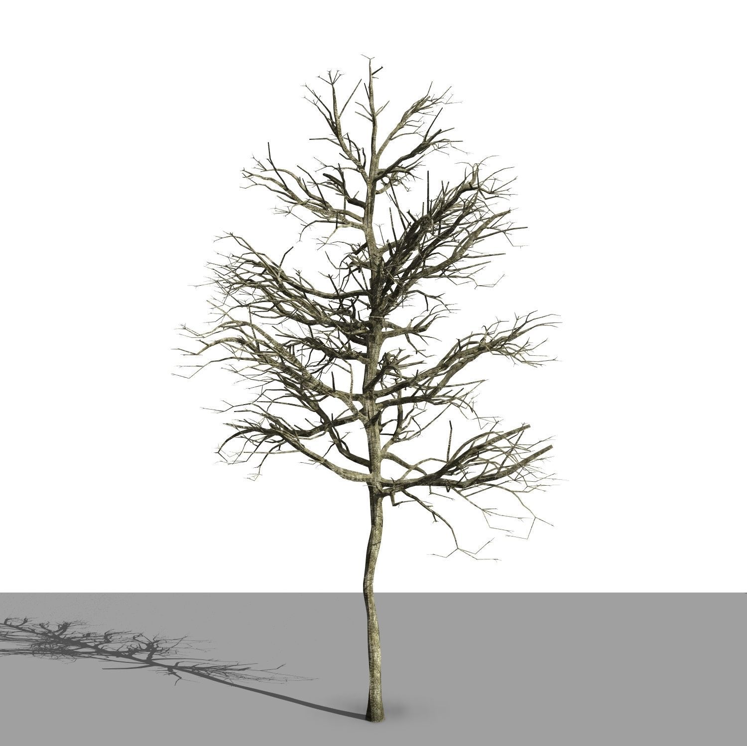 Revit scalable and detailed tree arquitree07 detailed 3D model_7