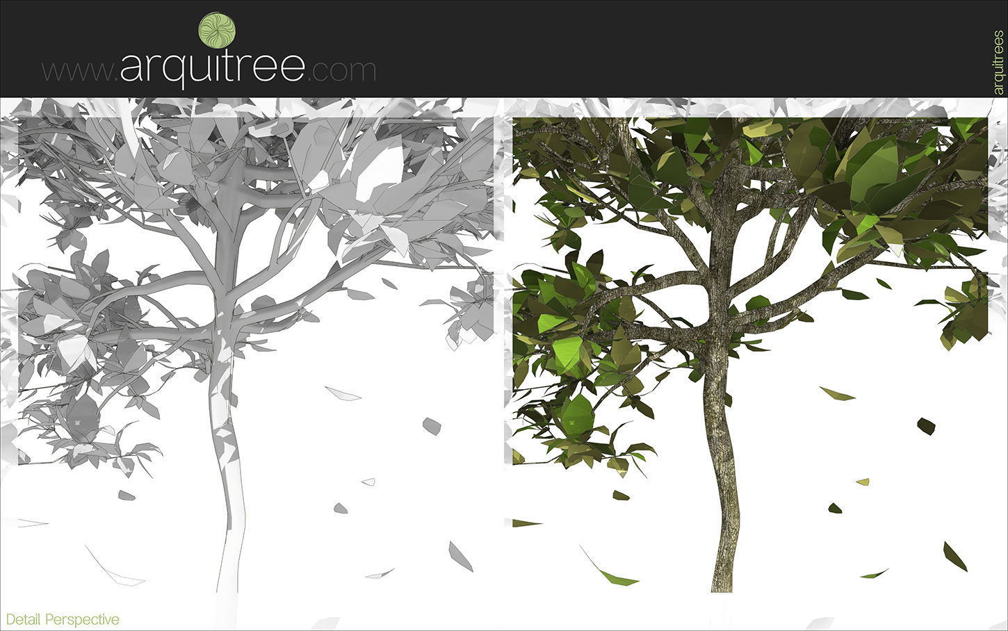Revit scalable and detailed tree arquitree07 detailed 3D model_15