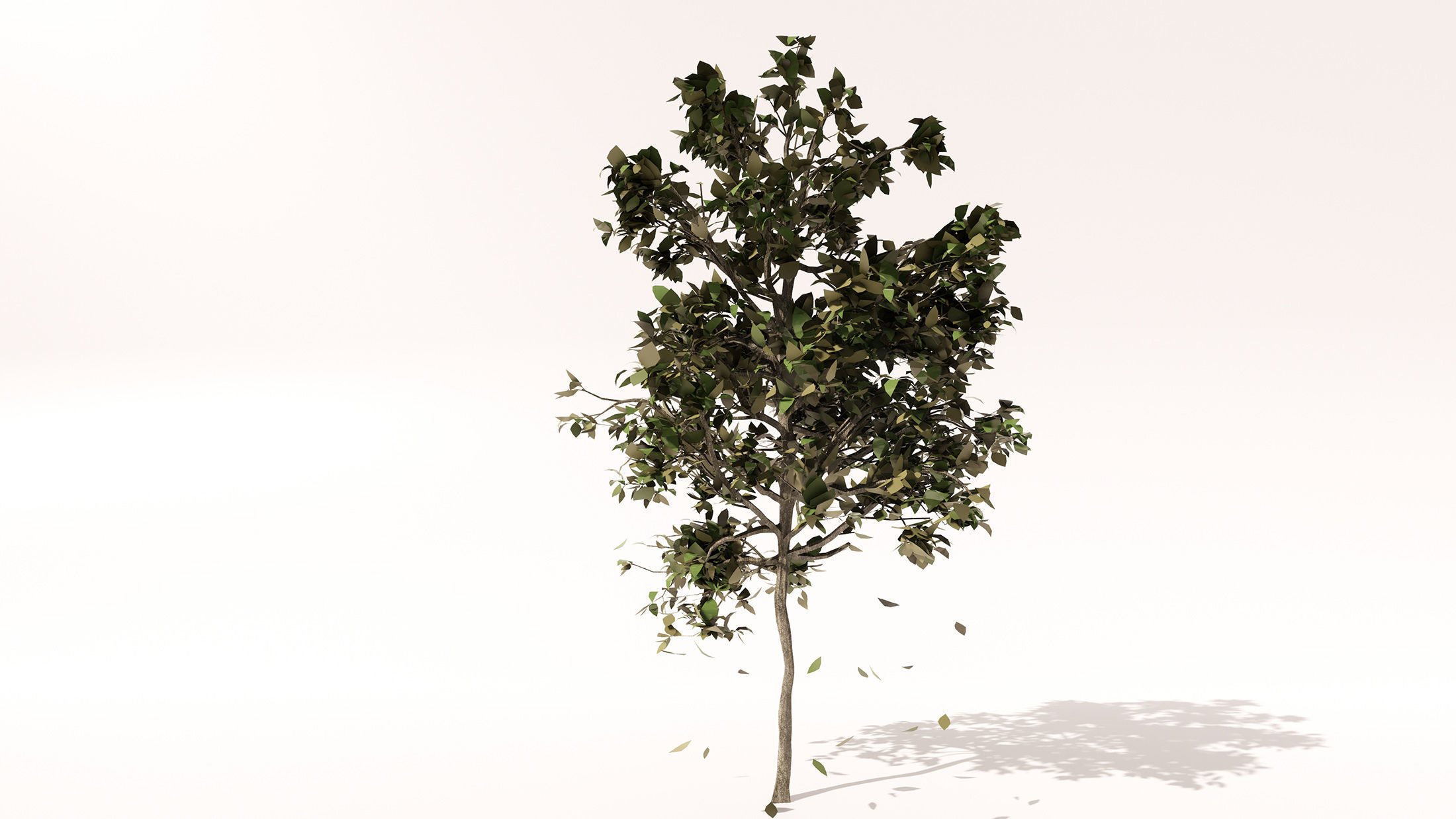 Revit scalable and detailed tree arquitree07 detailed 3D model_16