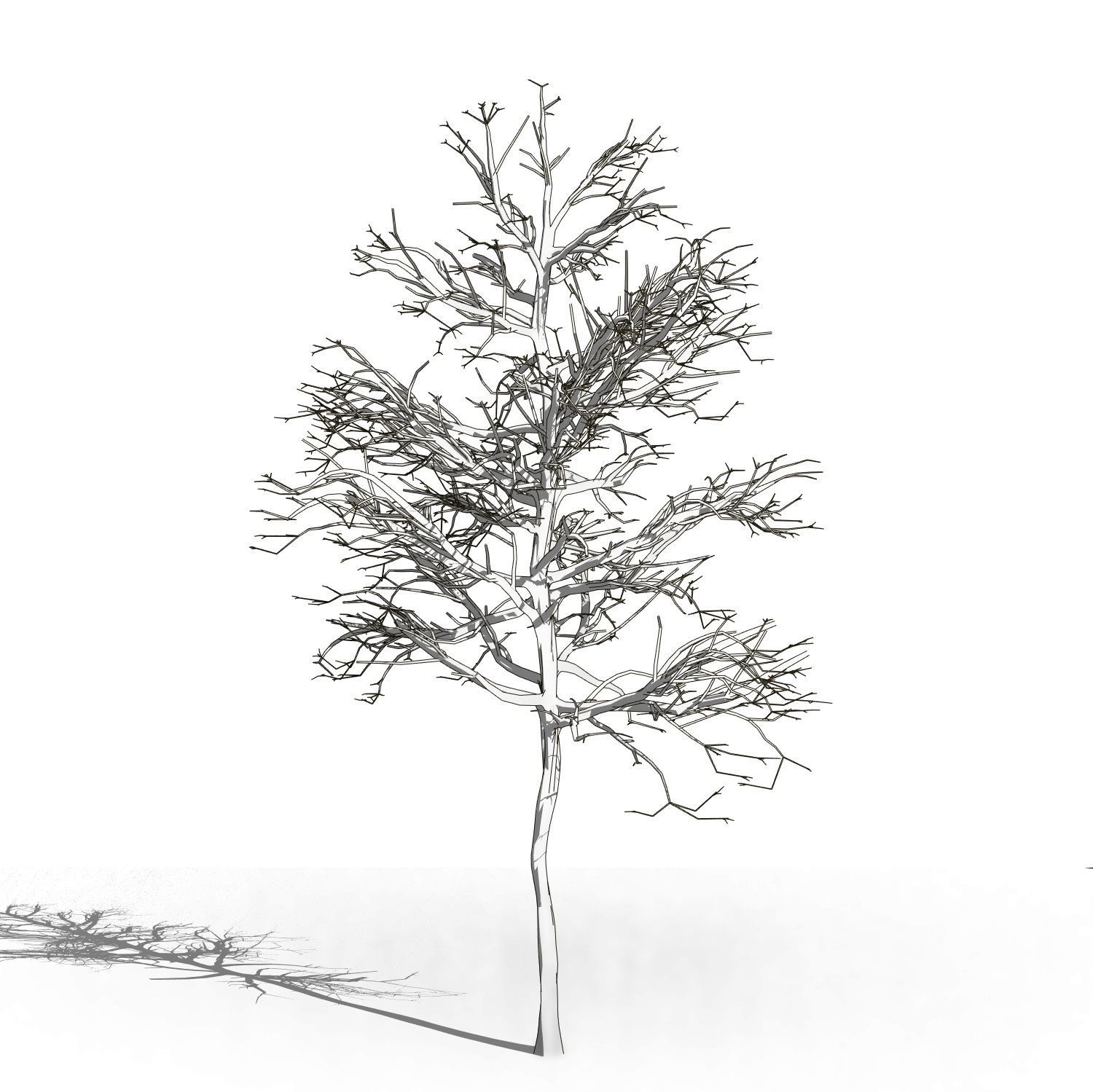 Revit scalable and detailed tree arquitree07 detailed 3D model_6