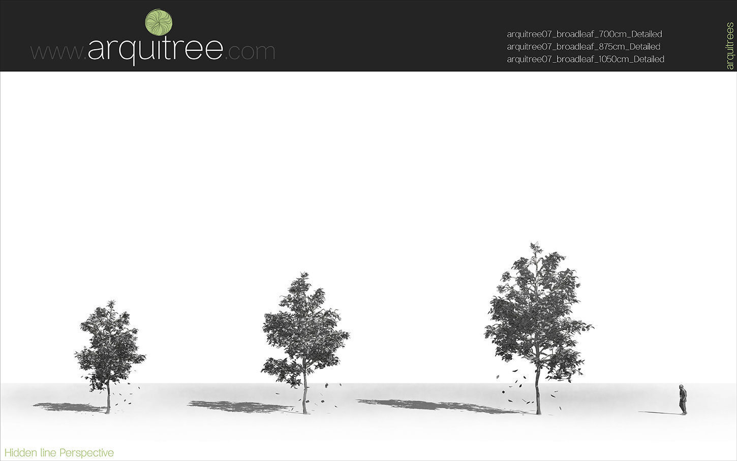 Revit scalable and detailed tree arquitree07 detailed 3D model_12
