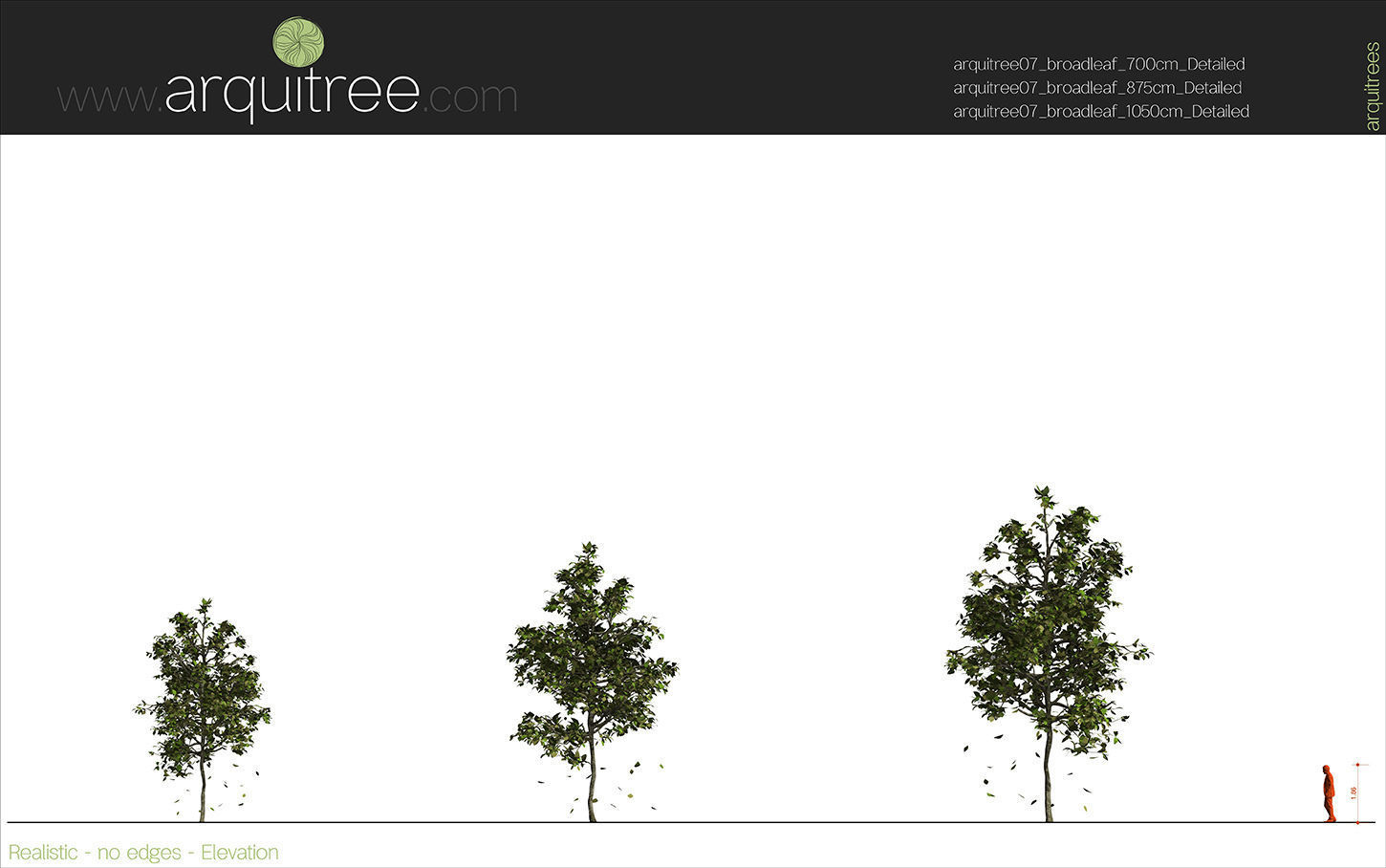 Revit scalable and detailed tree arquitree07 detailed 3D model_11