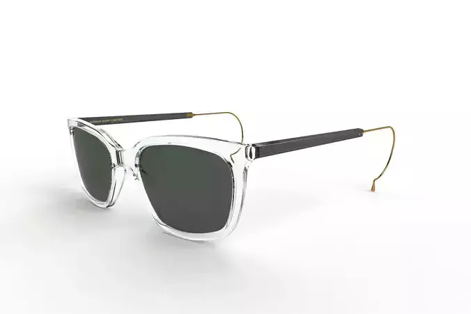 anatomically correct sunglasses 3D model