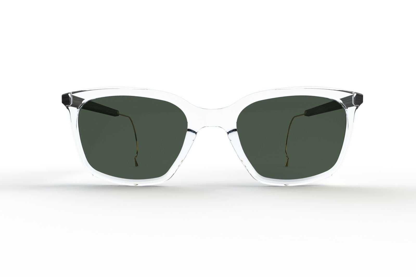 anatomically correct sunglasses 3D model_1