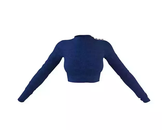 Stylish Designer Full Sleeve Button Detail Top 3D model 3D model