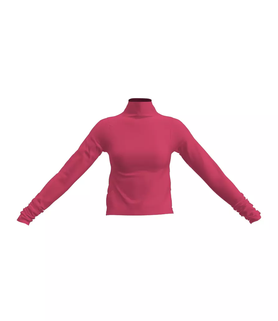 Stylish Designer High Neck Top 3D model Free 3D model