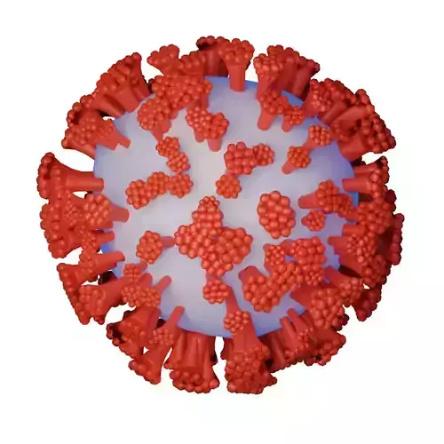 Coronavirus COVID-19 3D model