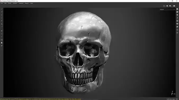 skull  PBR textures and low poly and high poly Low-poly 3D model