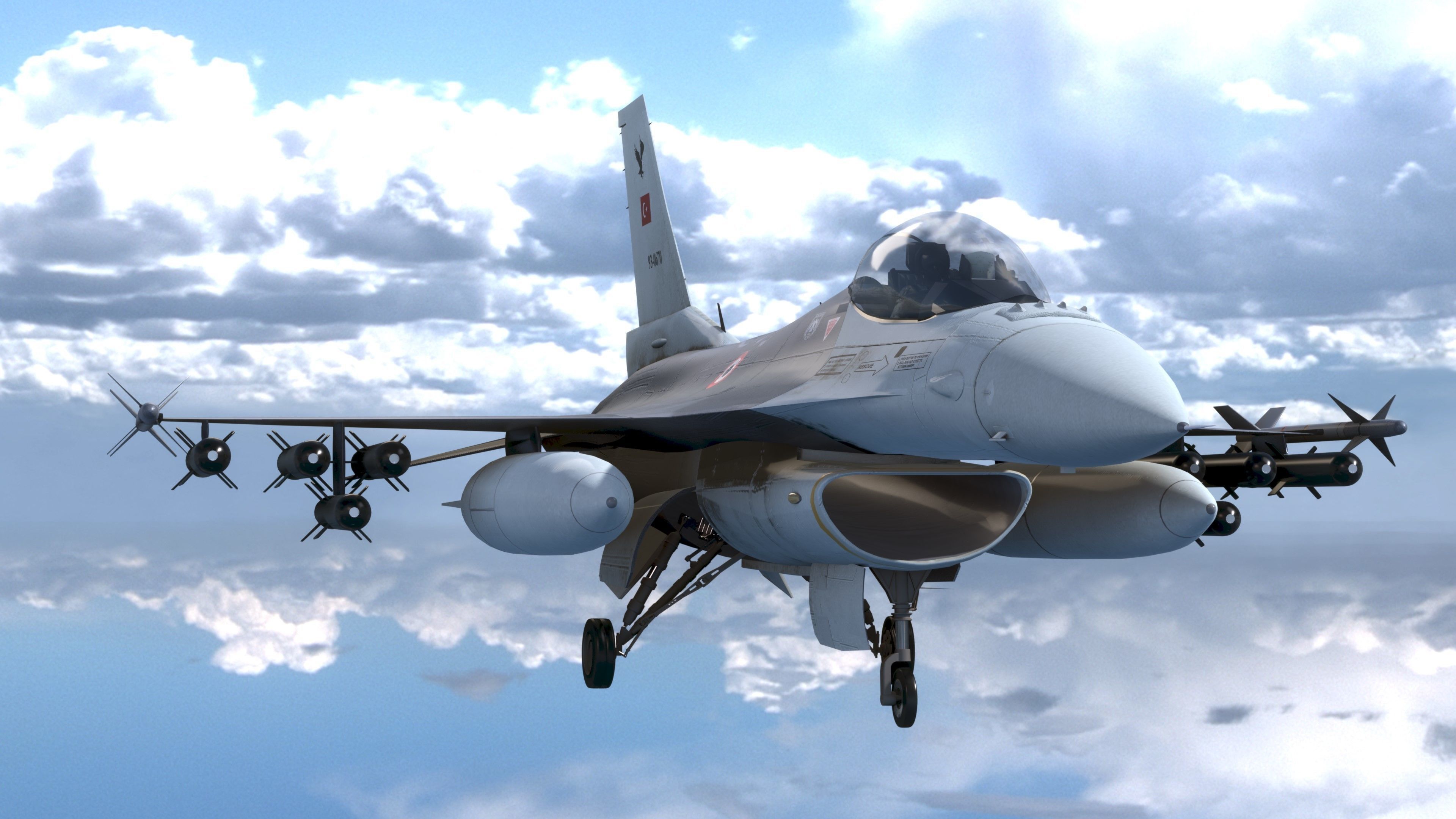 F16C Turkey Low-poly 3D model_13