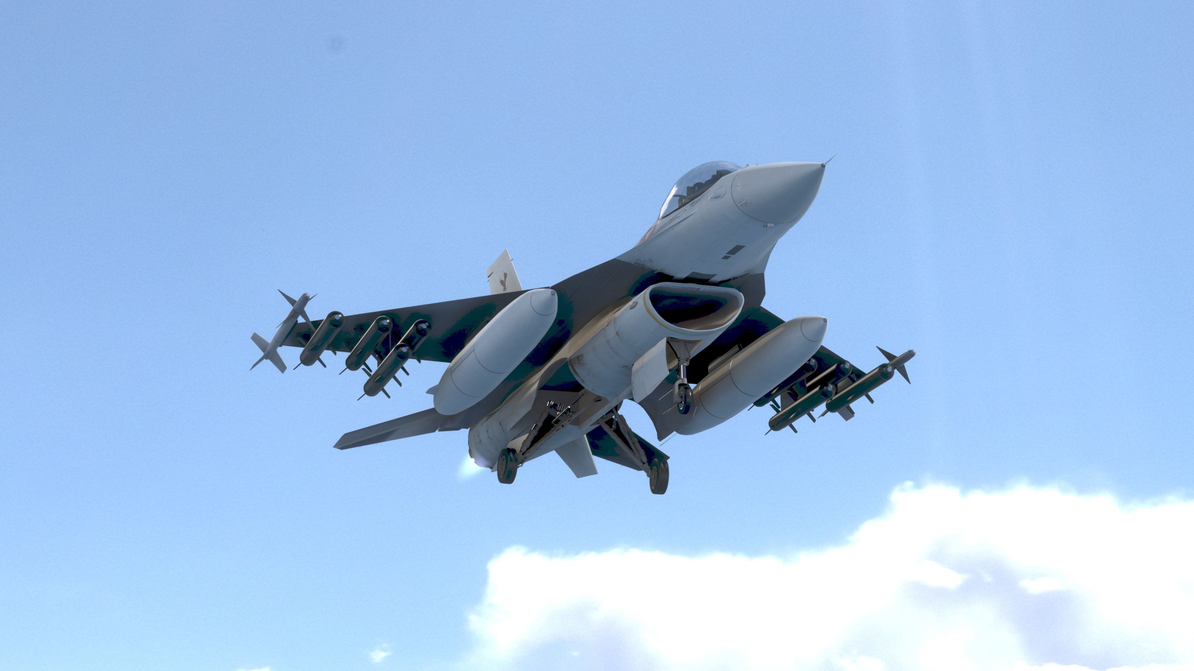 F16C Turkey Low-poly 3D model_9