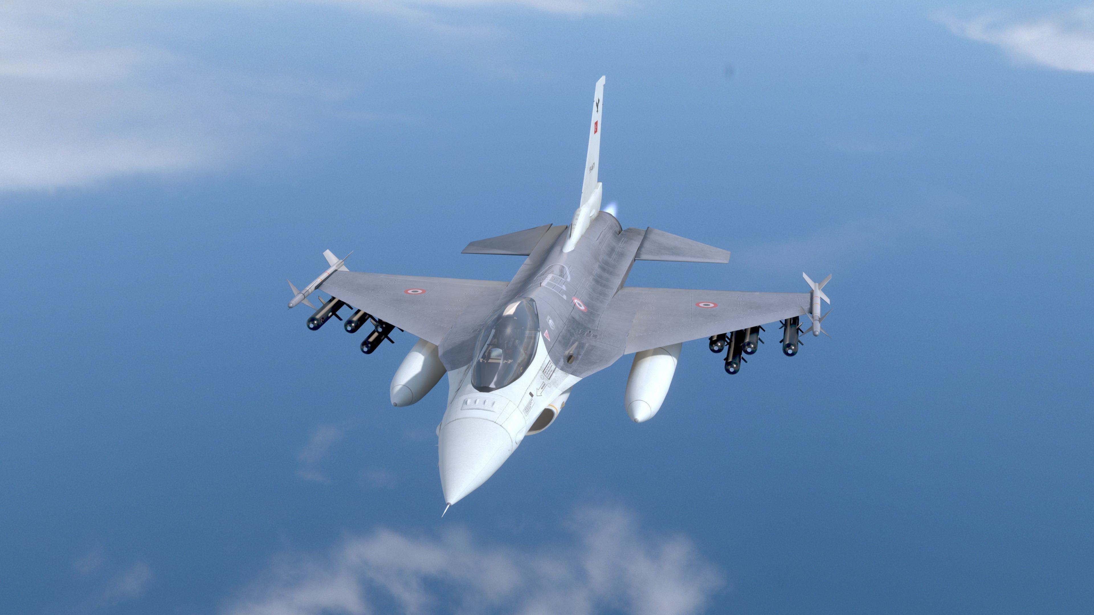 F16C Turkey Low-poly 3D model_8