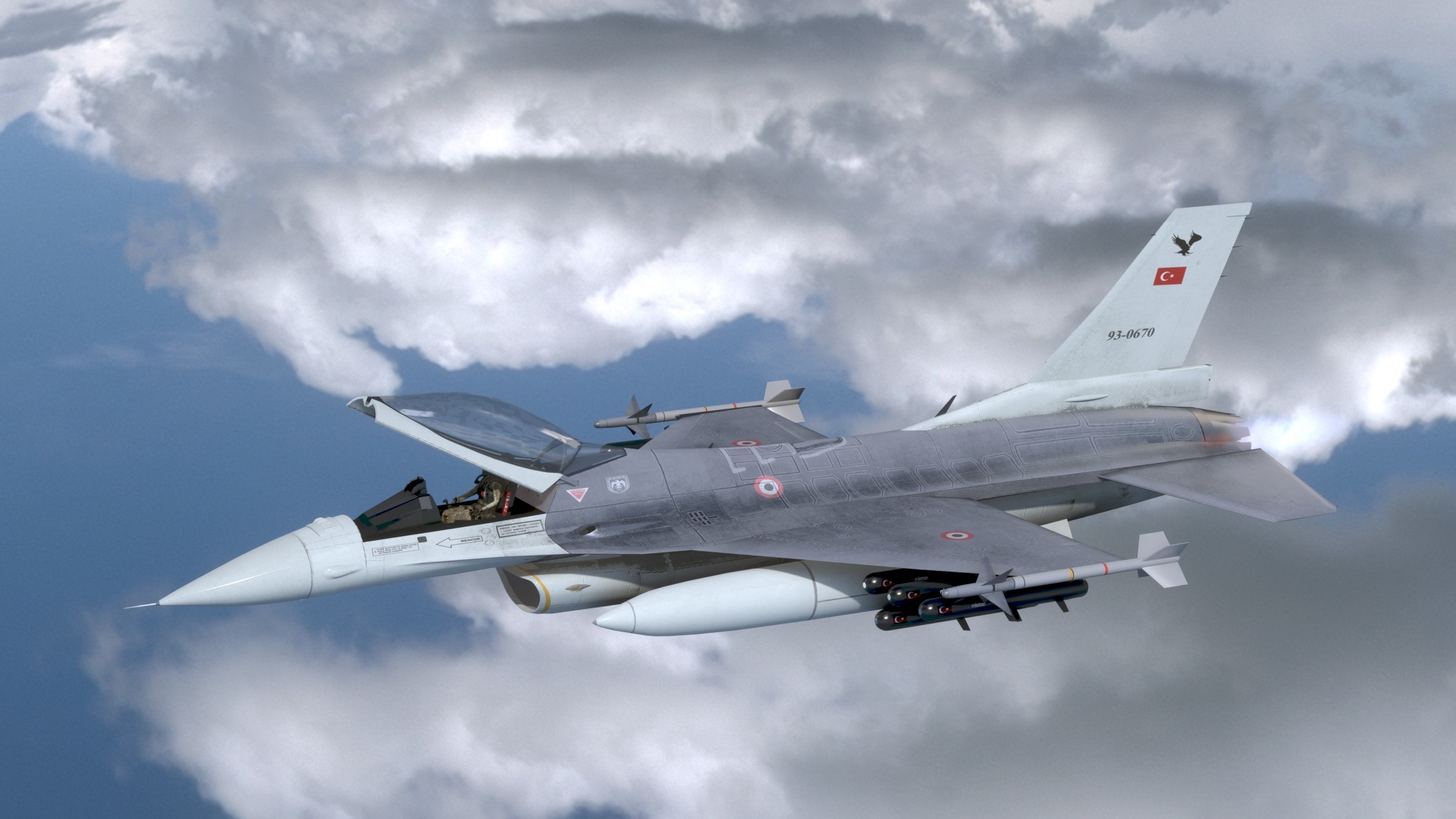 F16C Turkey Low-poly 3D model_5