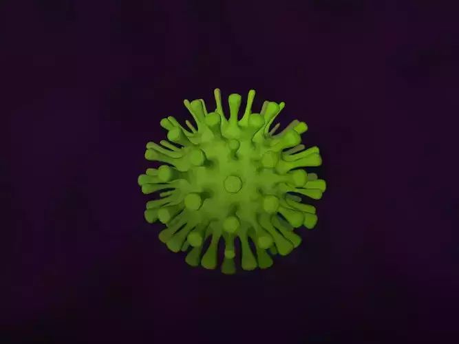 Virus coronavirus 3D model