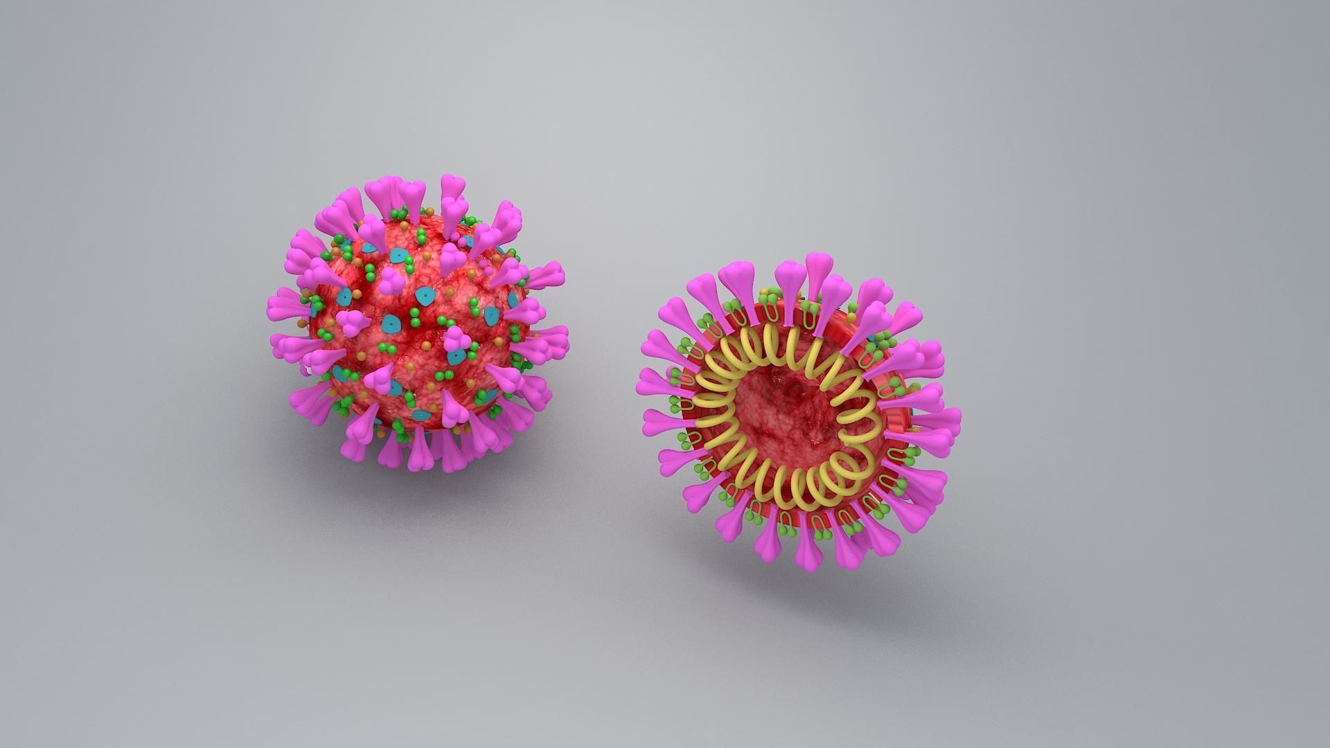 covid 19 virus 3D model_1