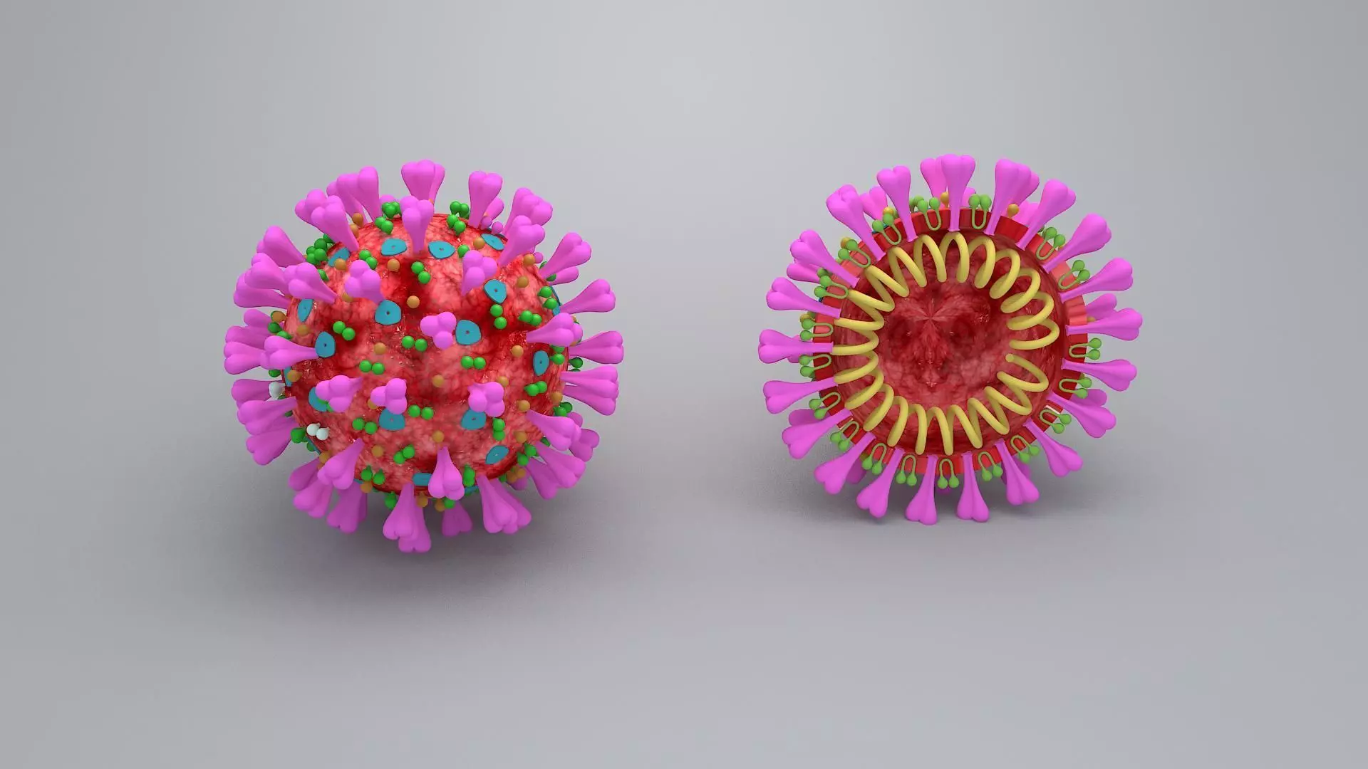 covid 19 virus 3D model_0