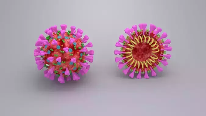 covid 19 virus