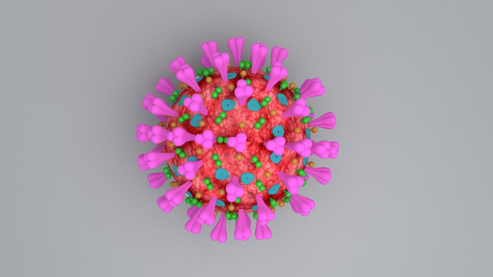 covid 19 virus 3D model_2
