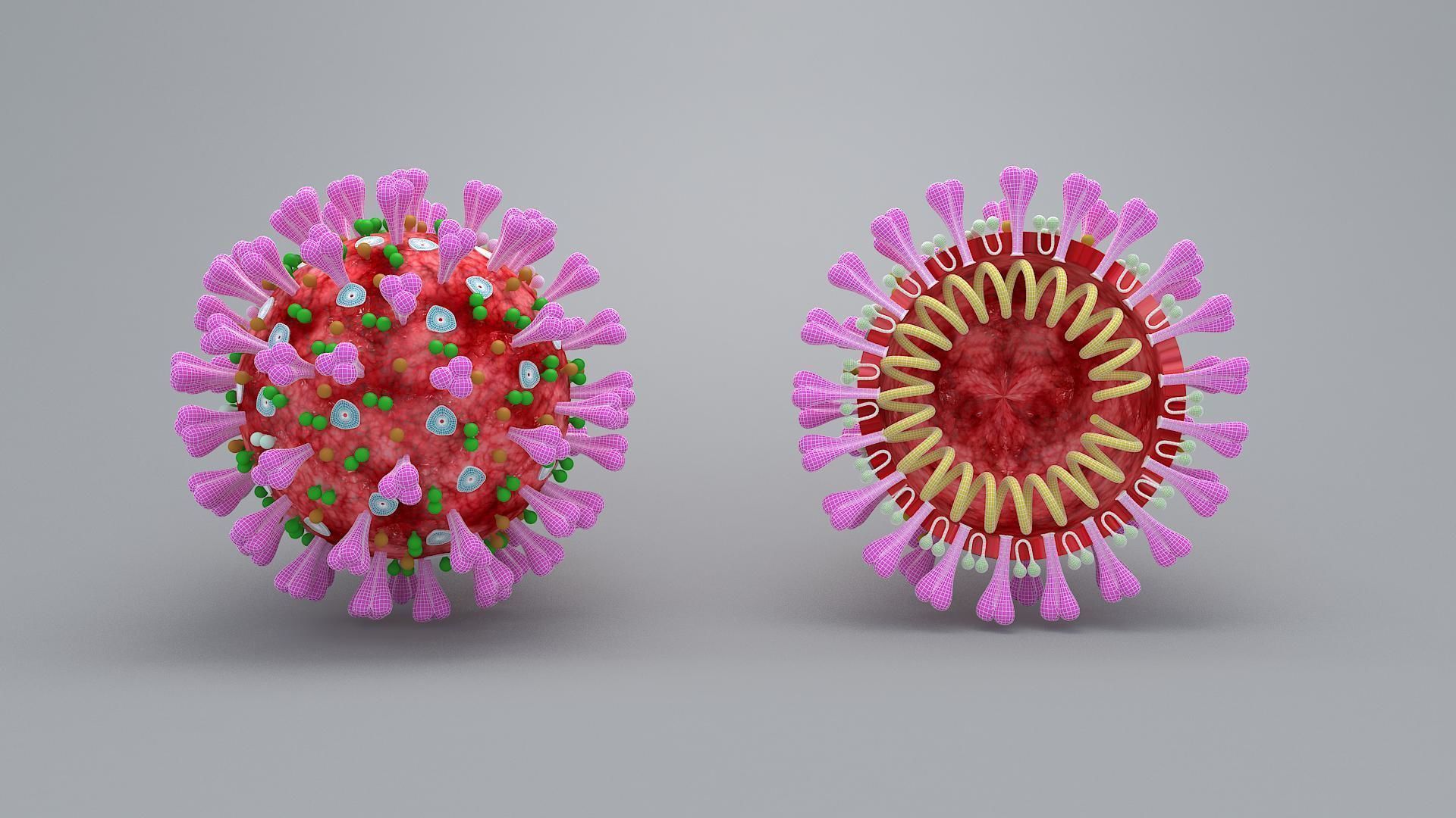 covid 19 virus 3D model_5
