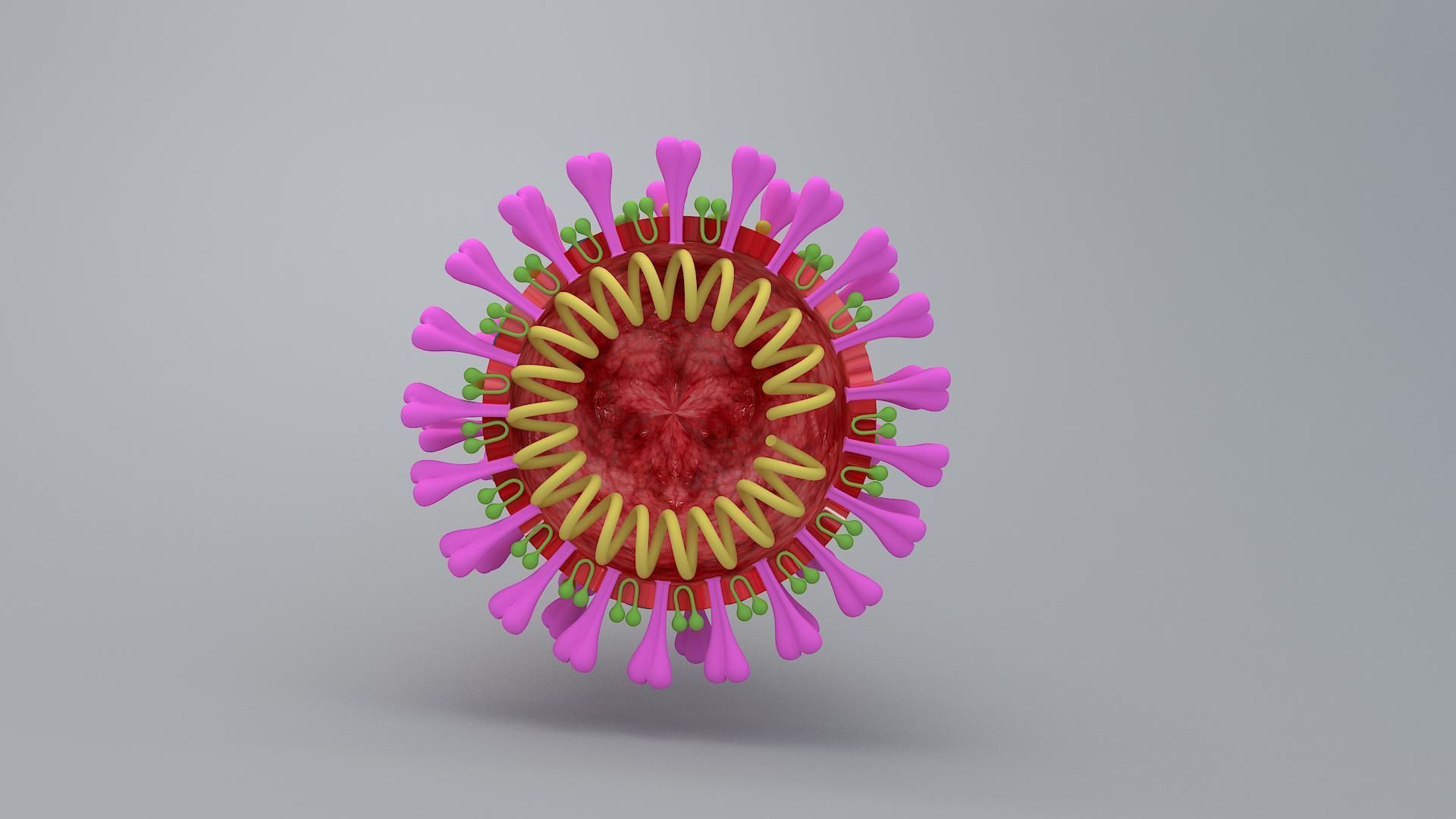 covid 19 virus 3D model_3
