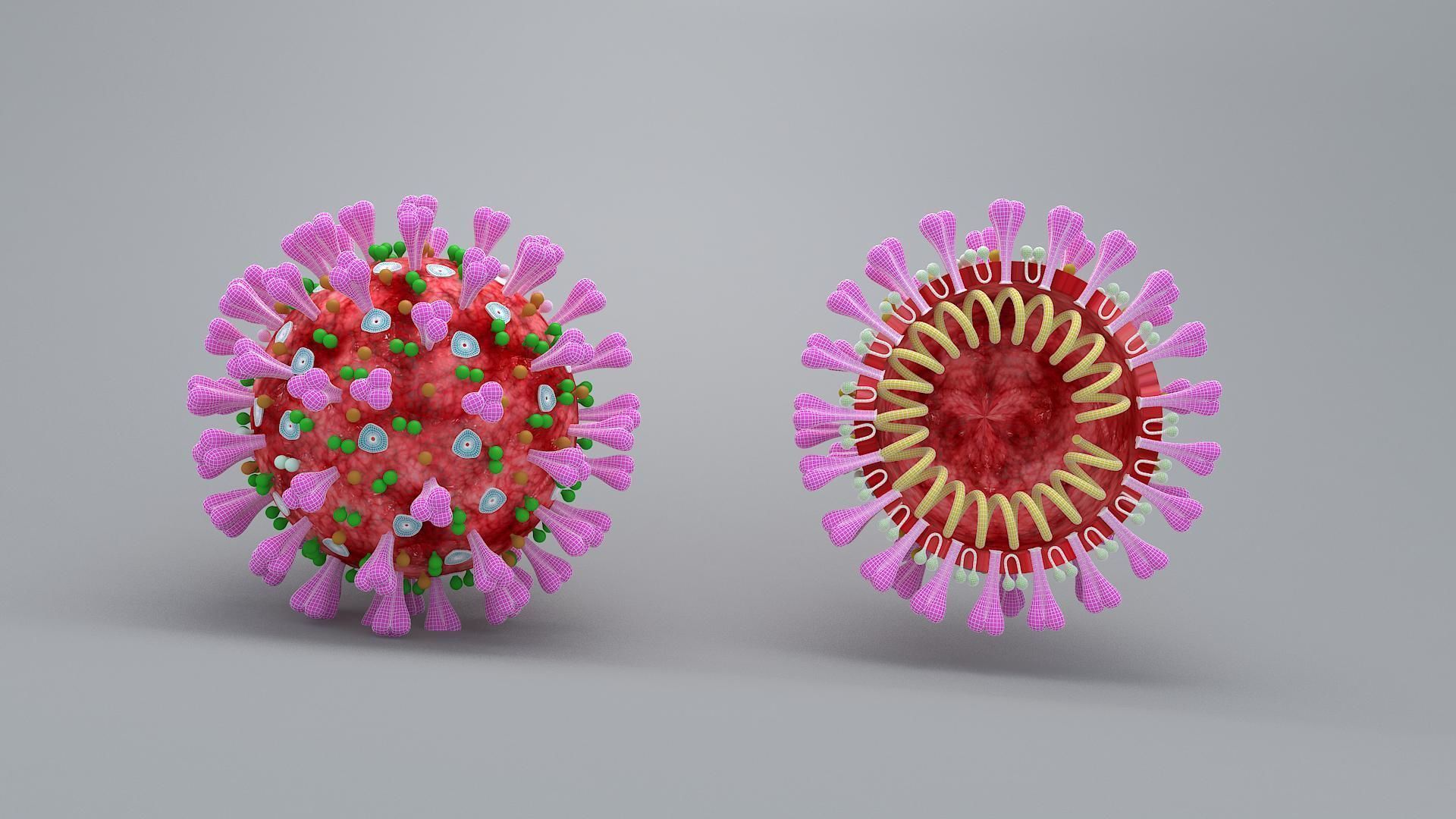 covid 19 virus 3D model_4