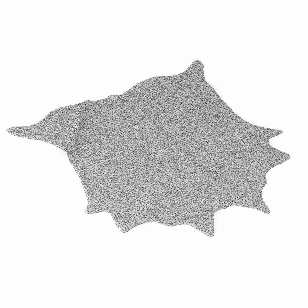 Leather Cowhide Rug 3D model_5