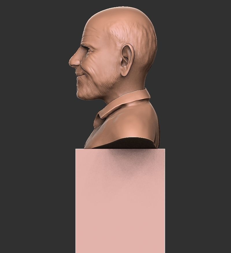 JACQUE FRESCO 3D print model_3