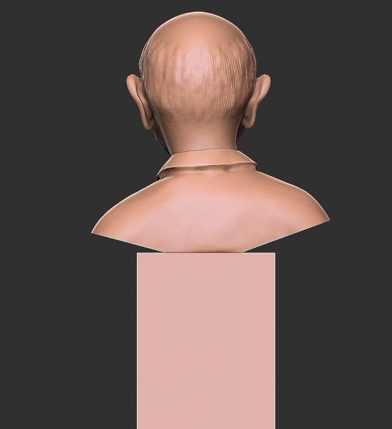JACQUE FRESCO 3D print model_2