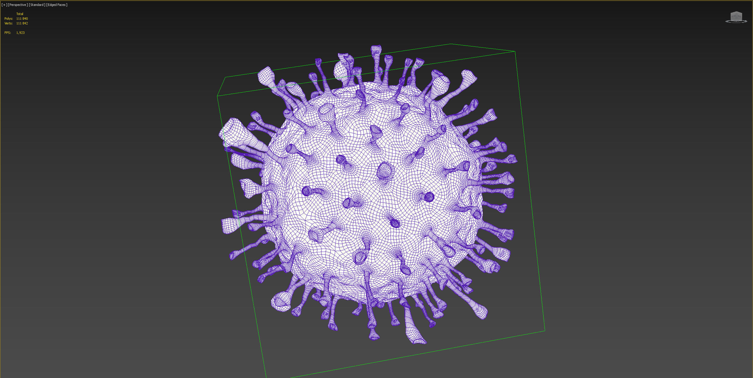 Corona Virus COVID-19 PBR Animation 3D model_9