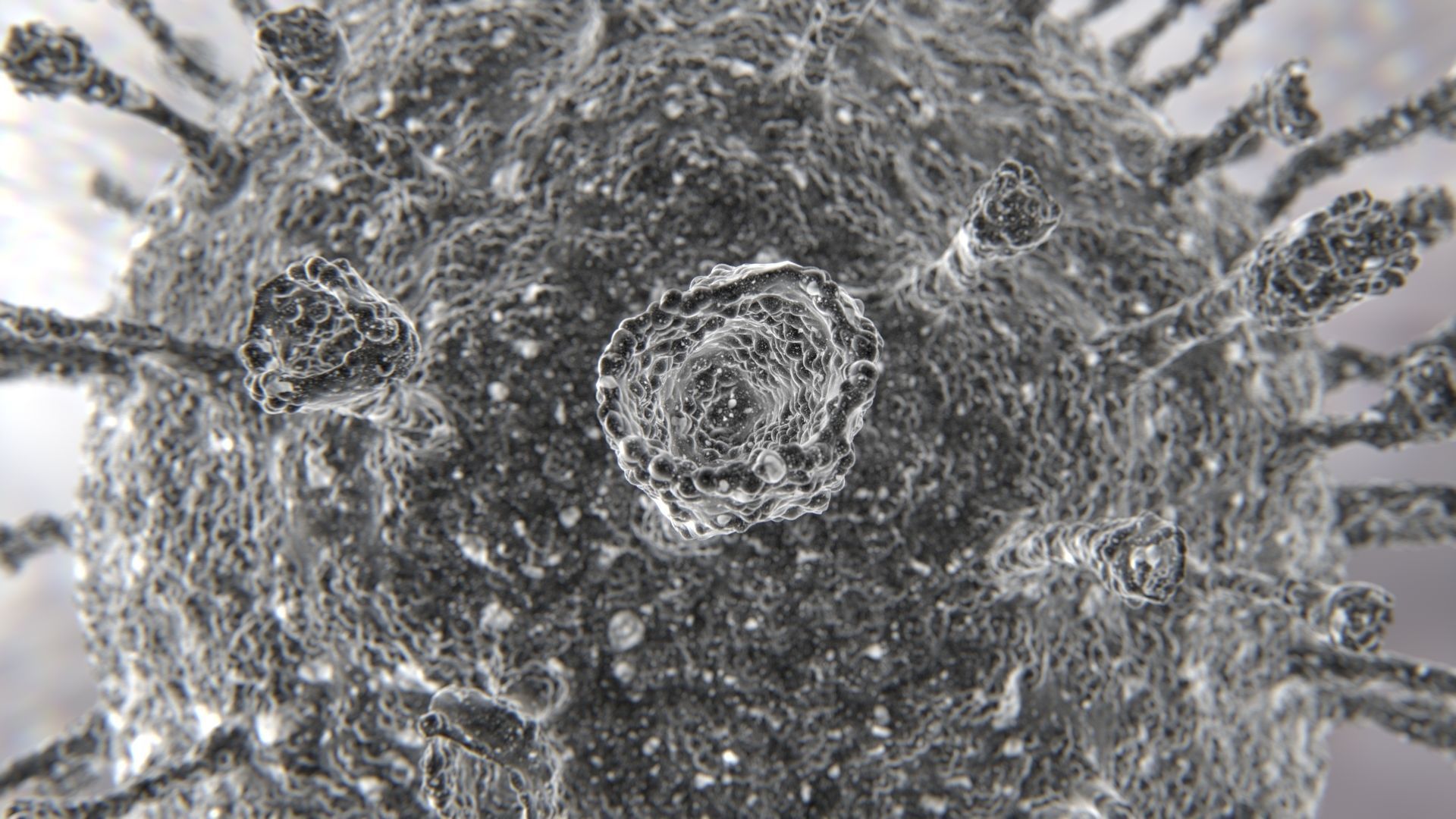 Corona Virus COVID-19 PBR Animation 3D model_8