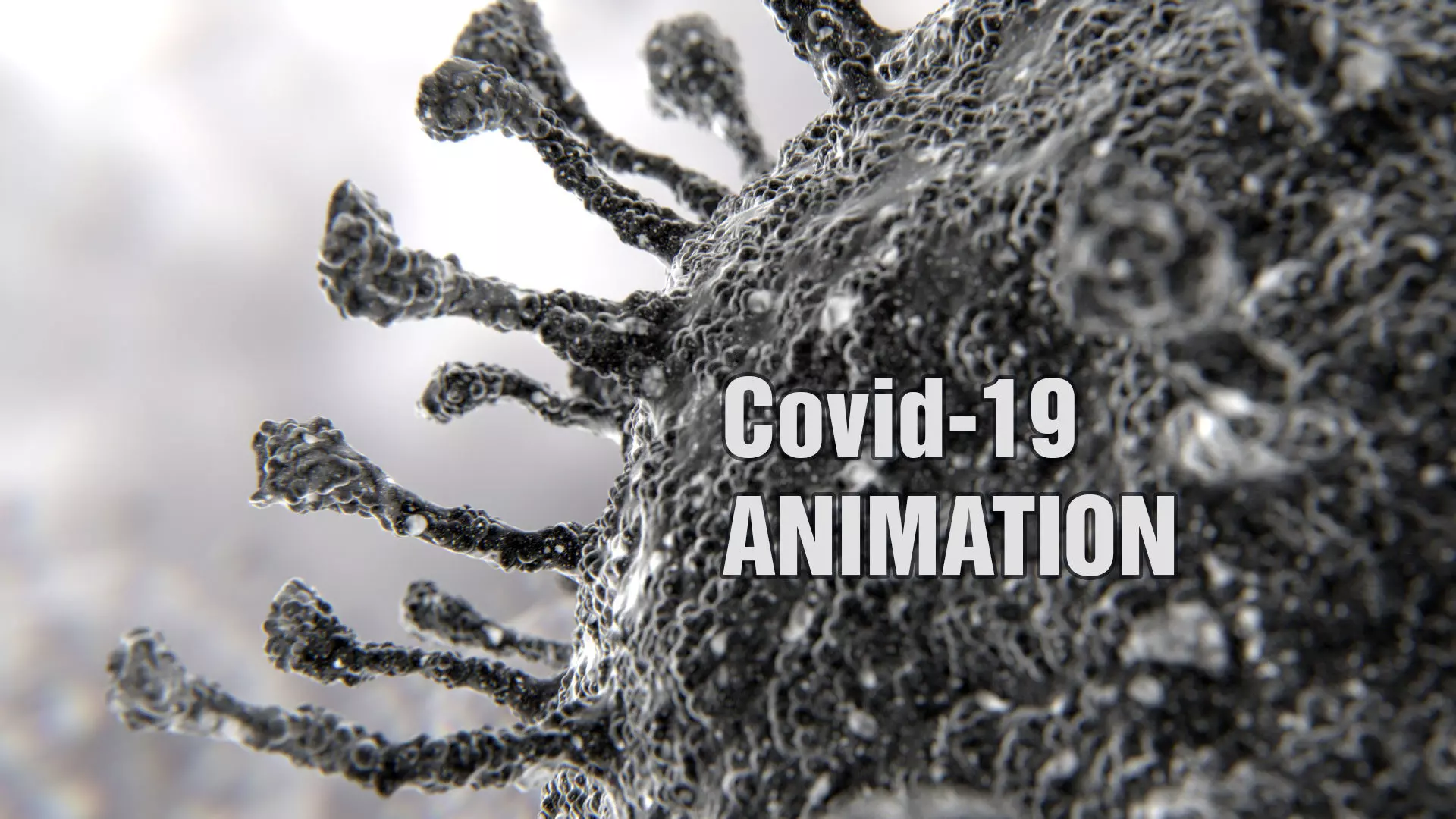 Corona Virus COVID-19 PBR Animation 3D model_0