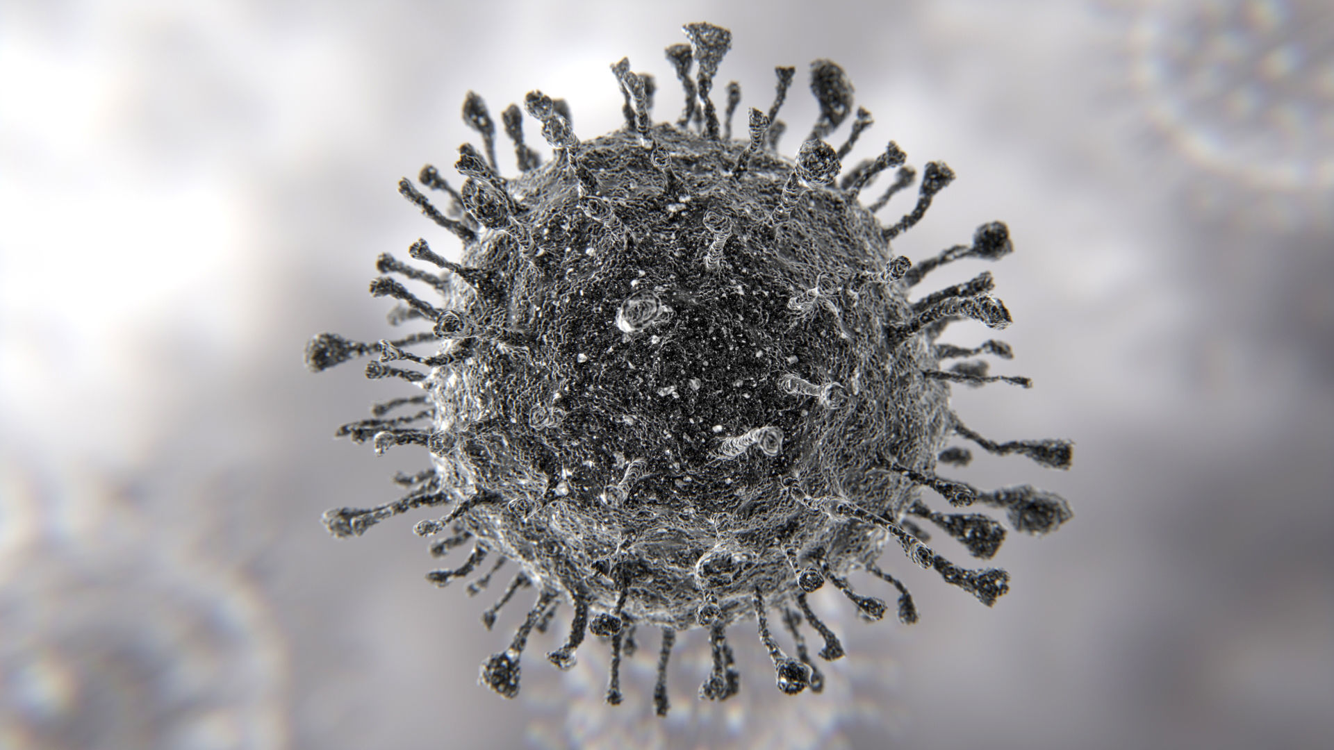 Corona Virus COVID-19 PBR Animation 3D model_5