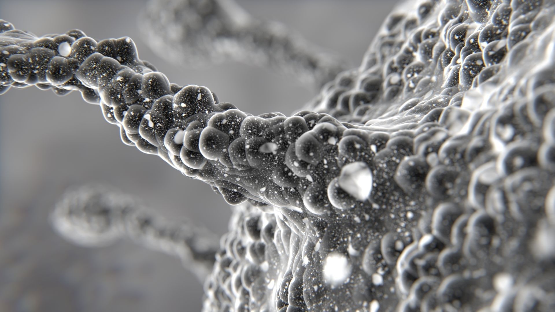 Corona Virus COVID-19 PBR Animation 3D model_7