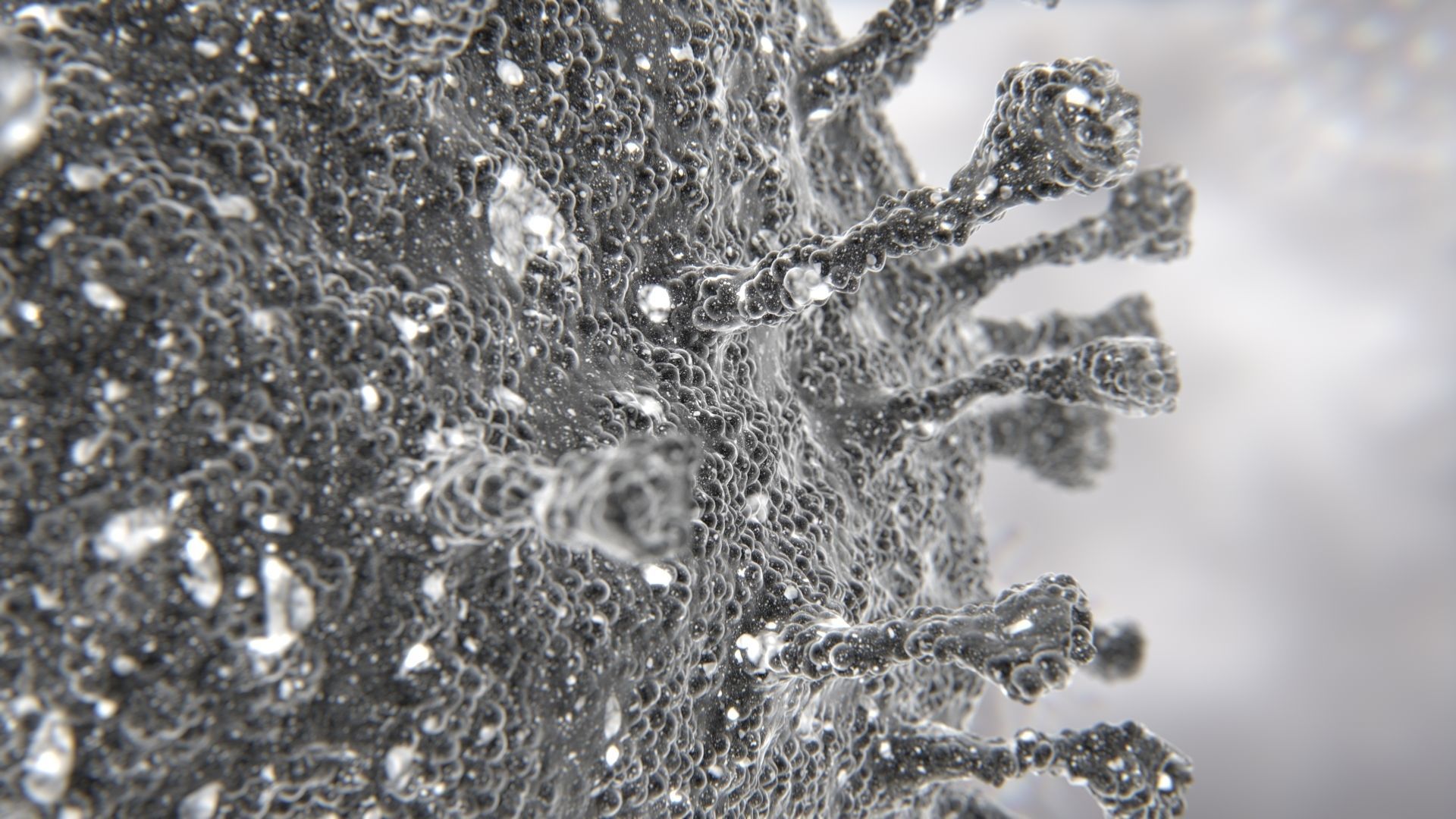 Corona Virus COVID-19 PBR Animation 3D model_4