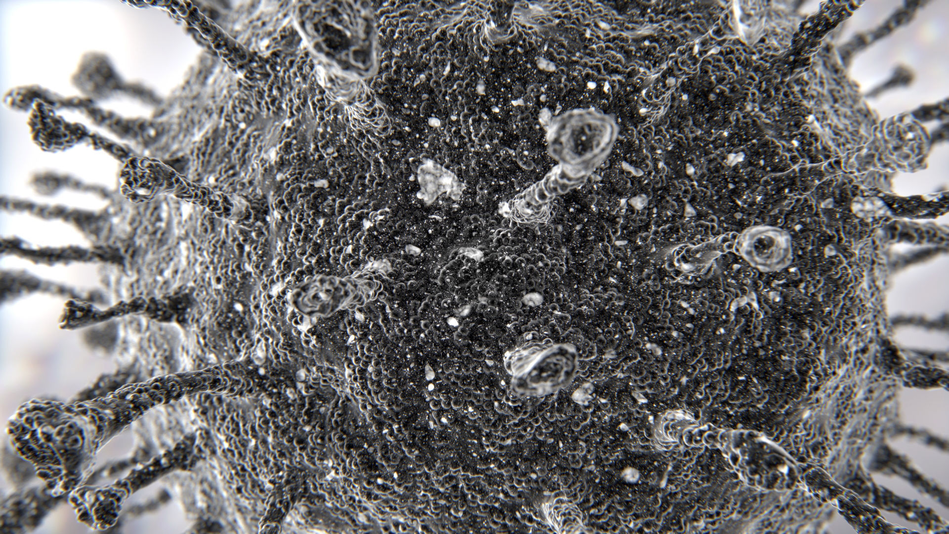 Corona Virus COVID-19 PBR Animation 3D model_6