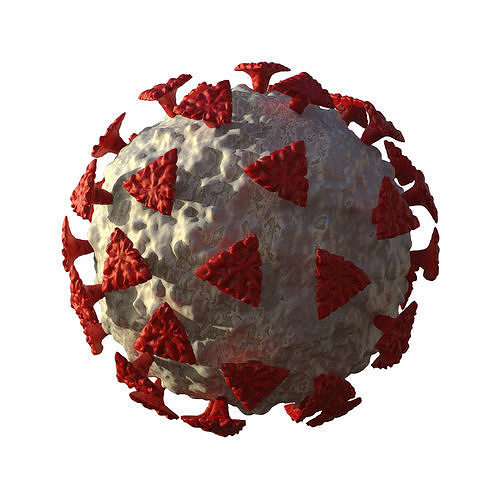 Corona Virus Covid-19 3D Model 3D print model