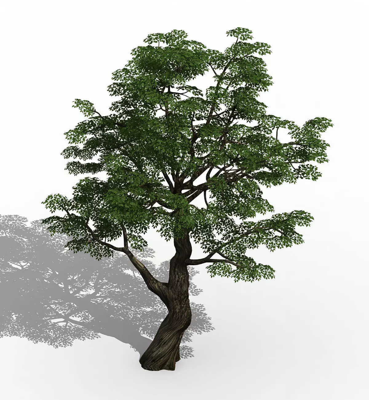 Horde Plants - Big Trees 01 3D model_0