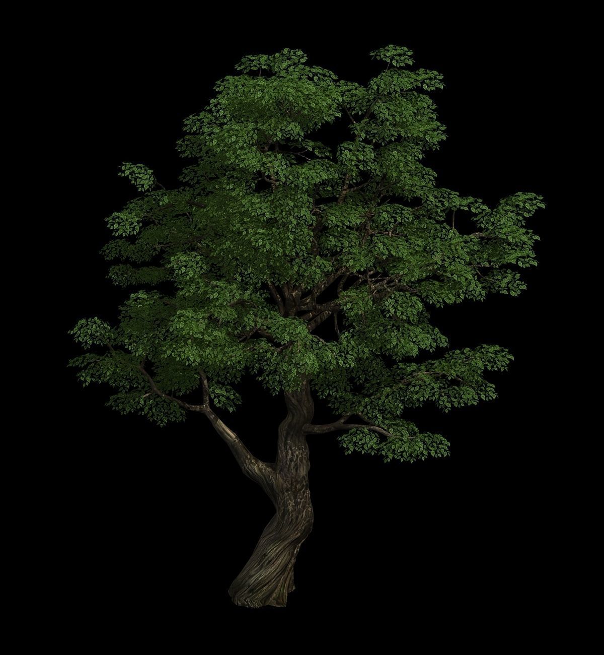 Horde Plants - Big Trees 01 3D model_3