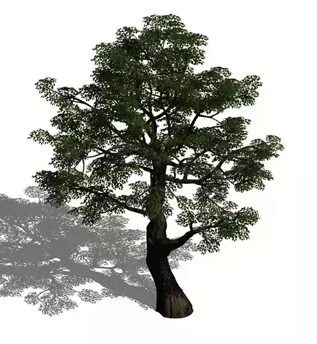 Horde Plants - Big Trees 02