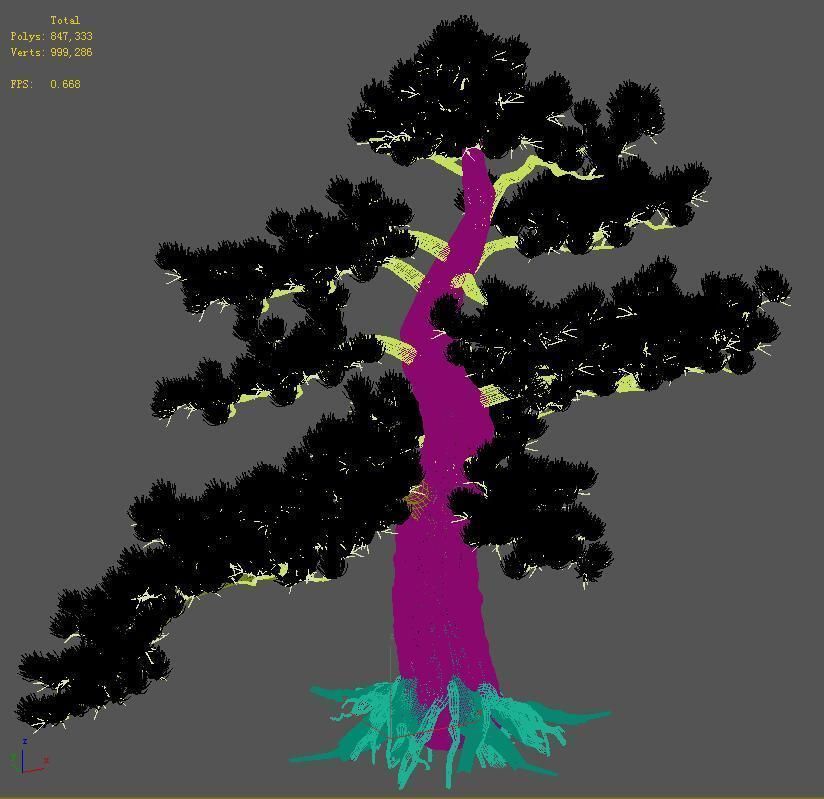 Big Tree - White Chishan - Pine 02 3D model_2