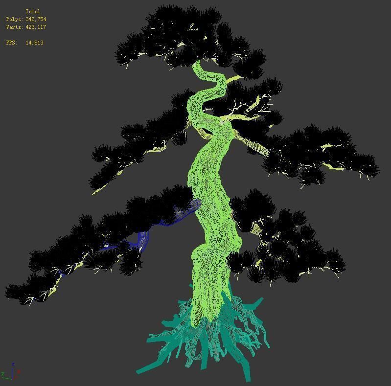 Trees - Huanglongshan Pine 01 3D model_2
