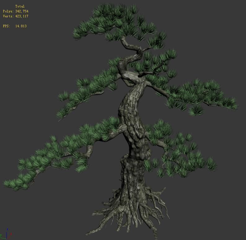 Trees - Huanglongshan Pine 01 3D model_1
