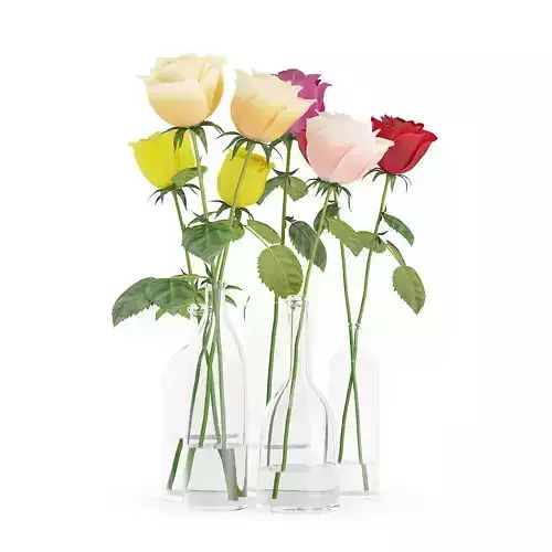 Roses in Glass Vases