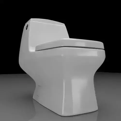 Toilet Seat Water Closet WC Palermo dual toilet