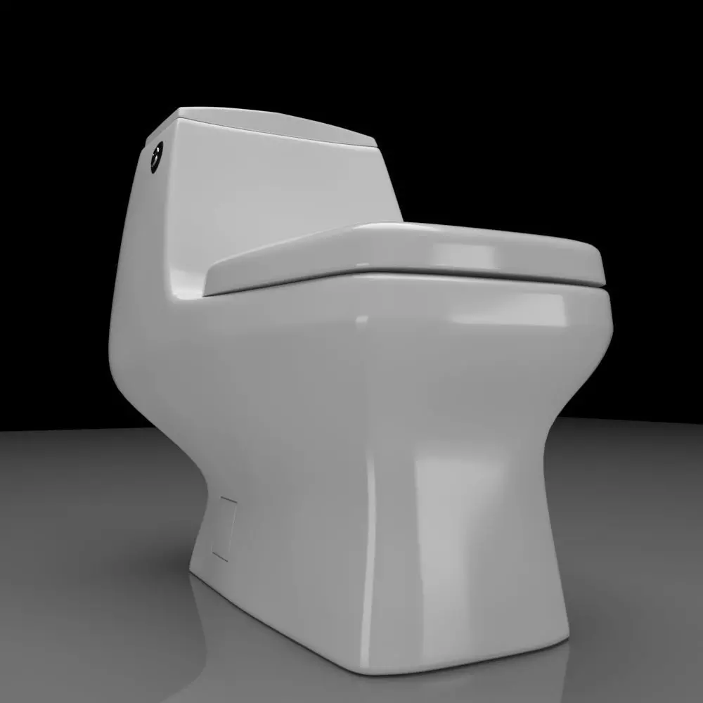 Toilet Seat Water Closet WC Palermo dual toilet 3D model_0