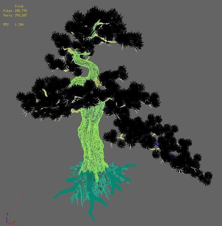 Trees - Huanglongshan Pine 02 3D model_3