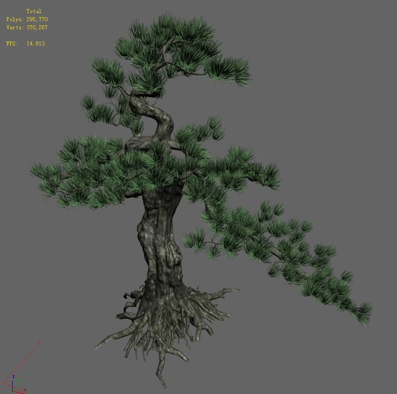 Trees - Huanglongshan Pine 02 3D model_2