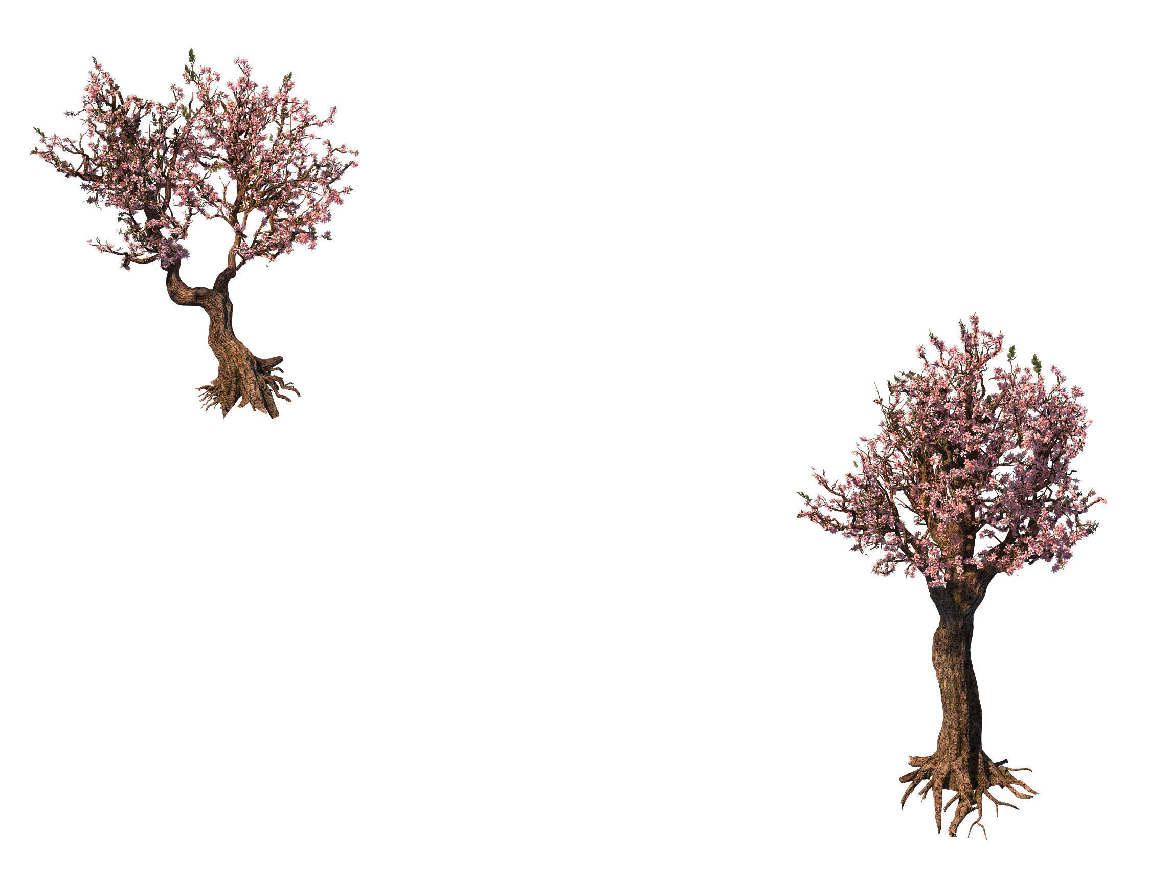 Tree - wonderful fantasy - peach tree 01 3D model_8