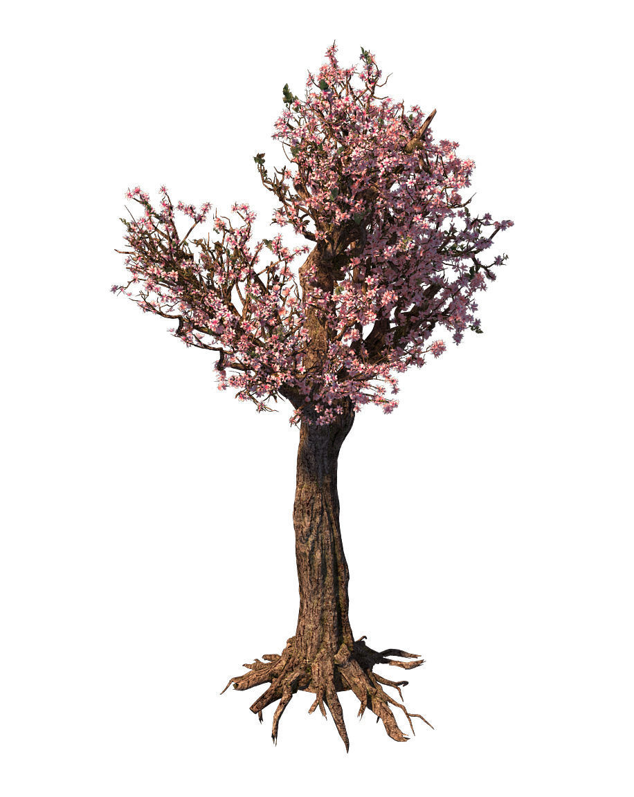 Tree - wonderful fantasy - peach tree 01 3D model_6