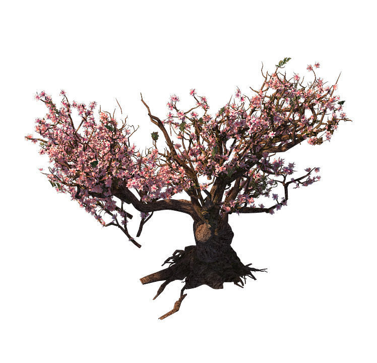 Tree - wonderful fantasy - peach tree 01 3D model_3
